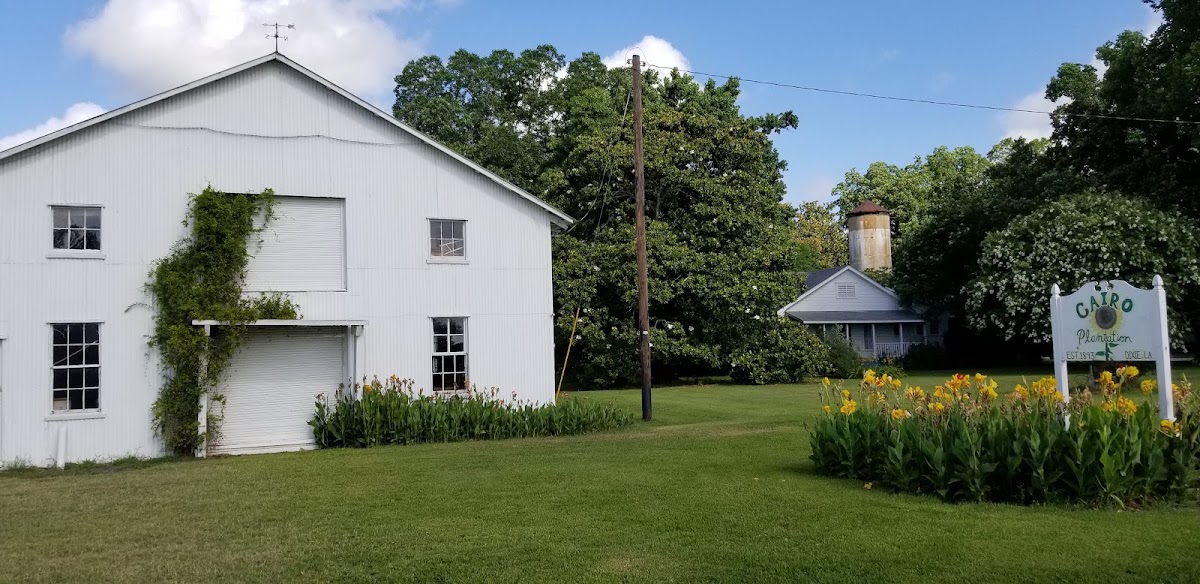 Completed remodeling and reconstruction project by Revival Reconstruction